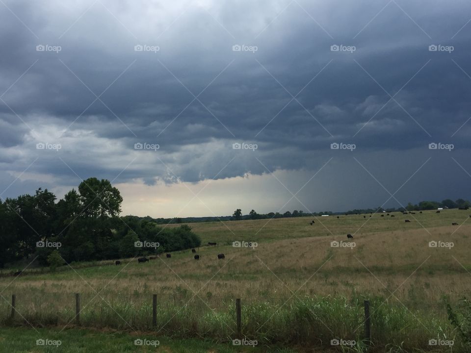 Stormy farm