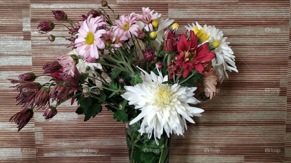 flowers in a vase