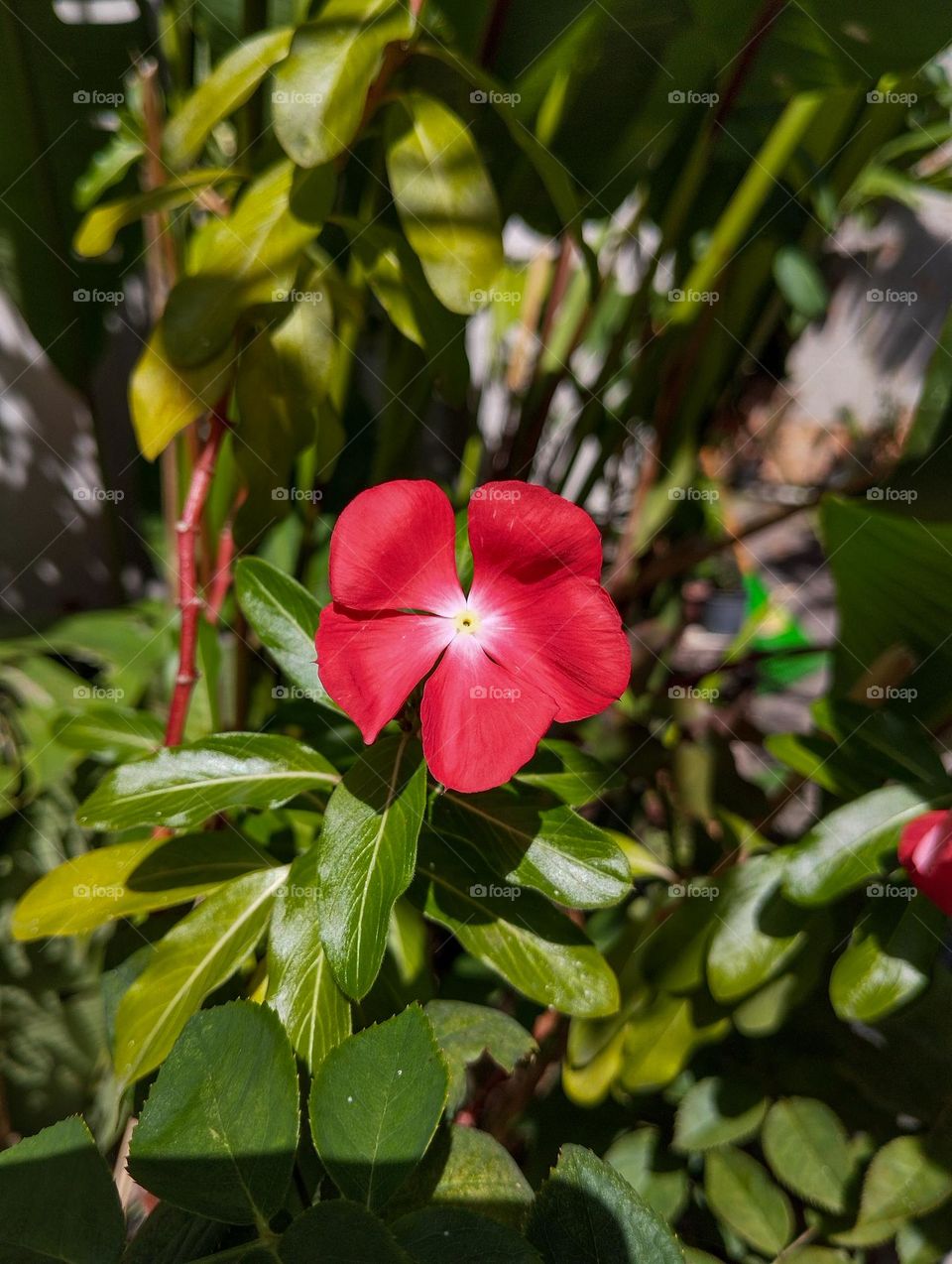 apreciar a beleza da natureza 🙌