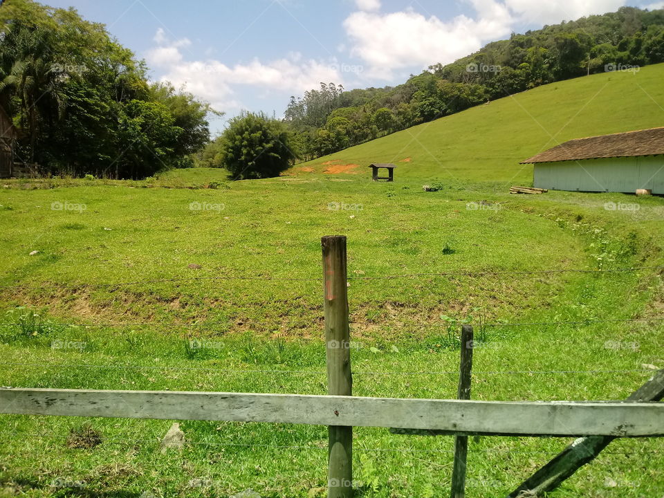 PAISAGEM RURALISTA NATURAL INTERIOR