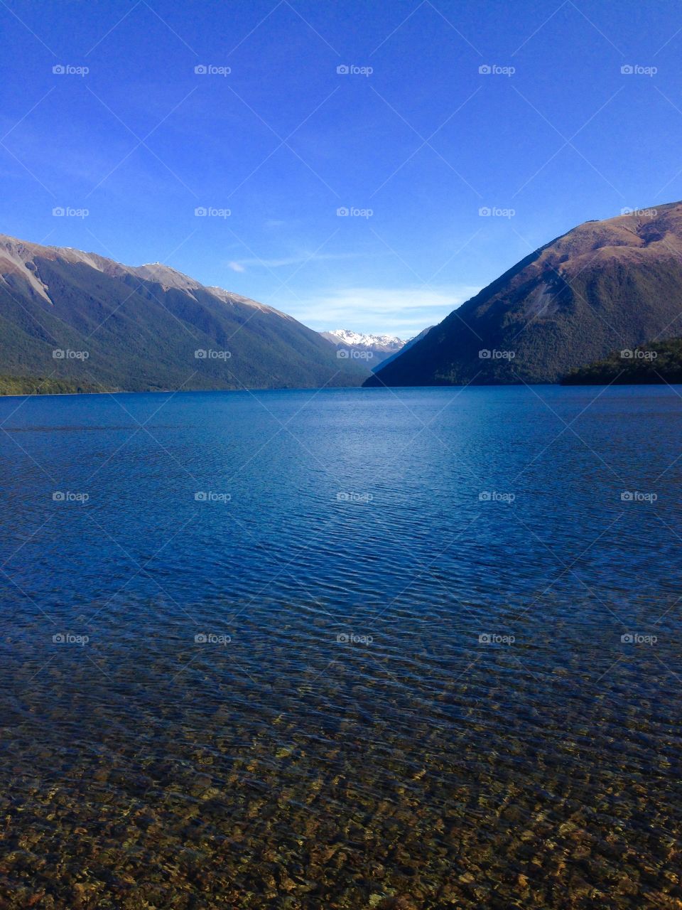 Scenics view of nature