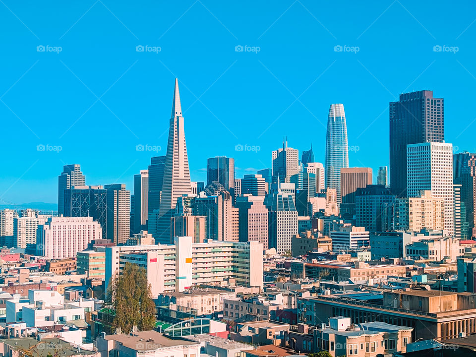 San Francisco Skyline