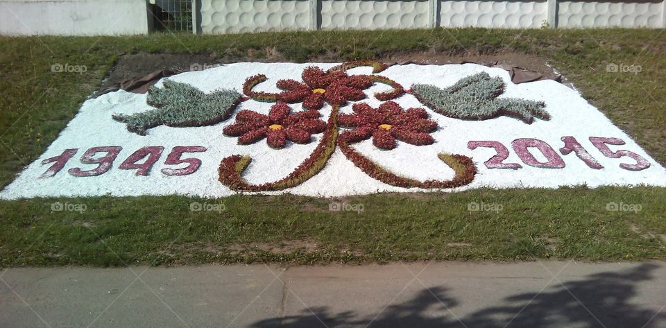 No Person, Road, Flower, Signal, Ground