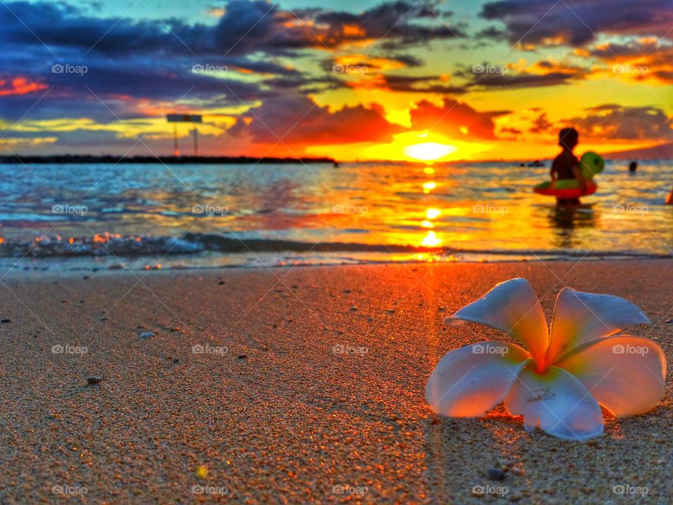 Truly Hawaii! . Found the perfect two elements that go together! 