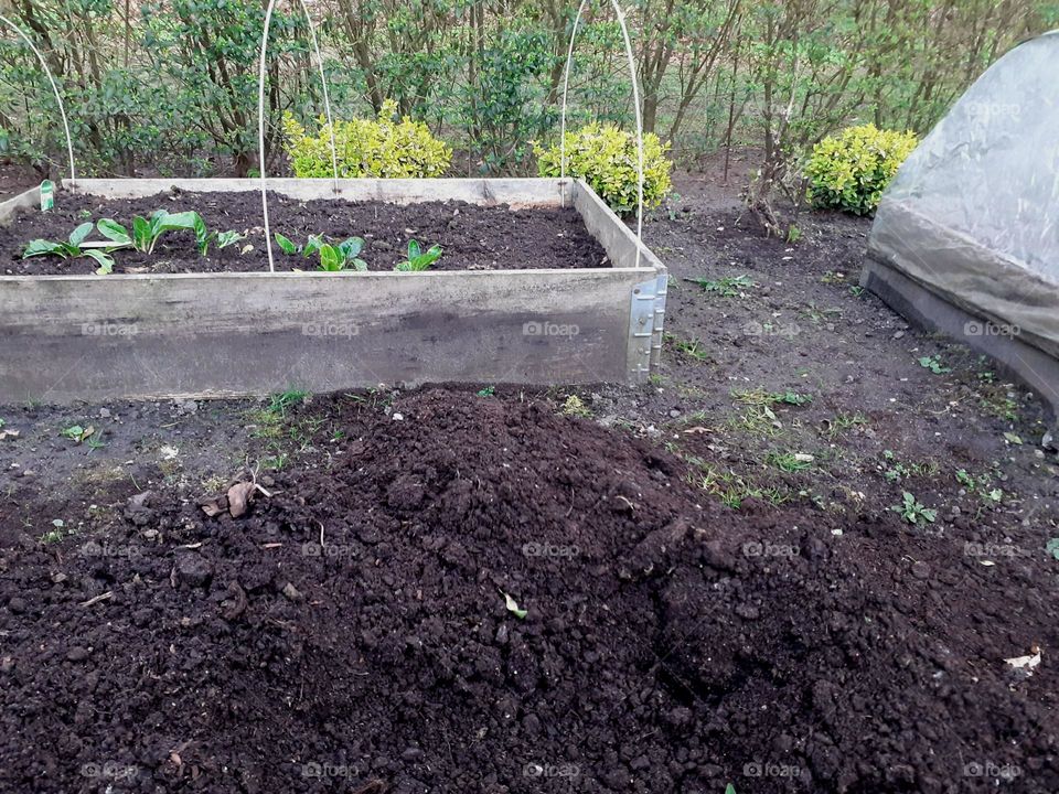 work in the garden has begun