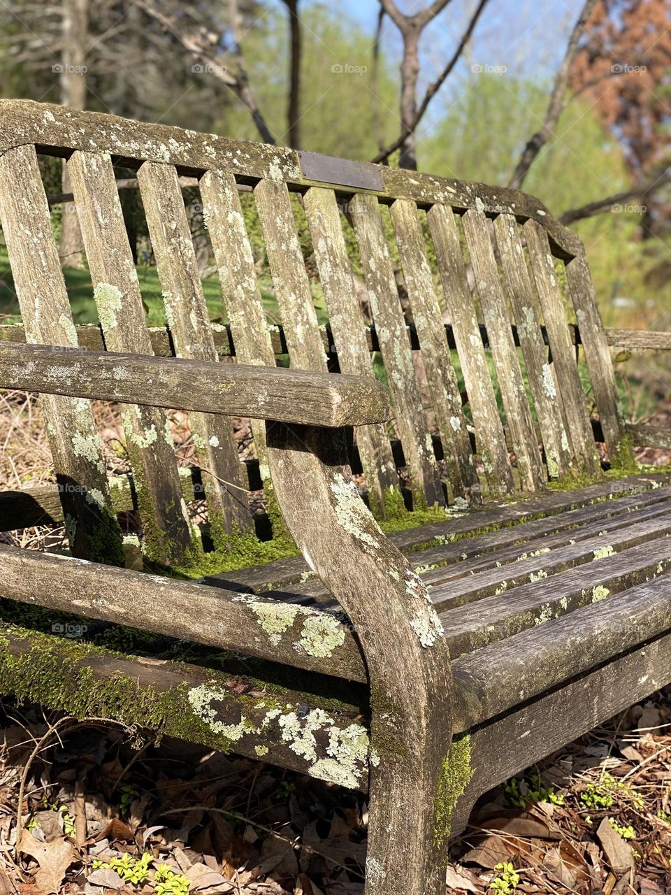 Old bench