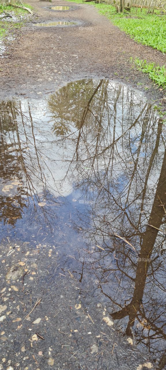 Puddles of water mirroring