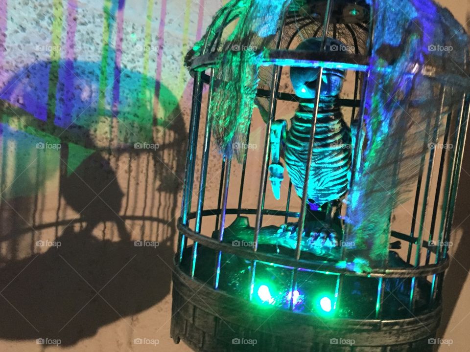 Who forgot to feed the bird