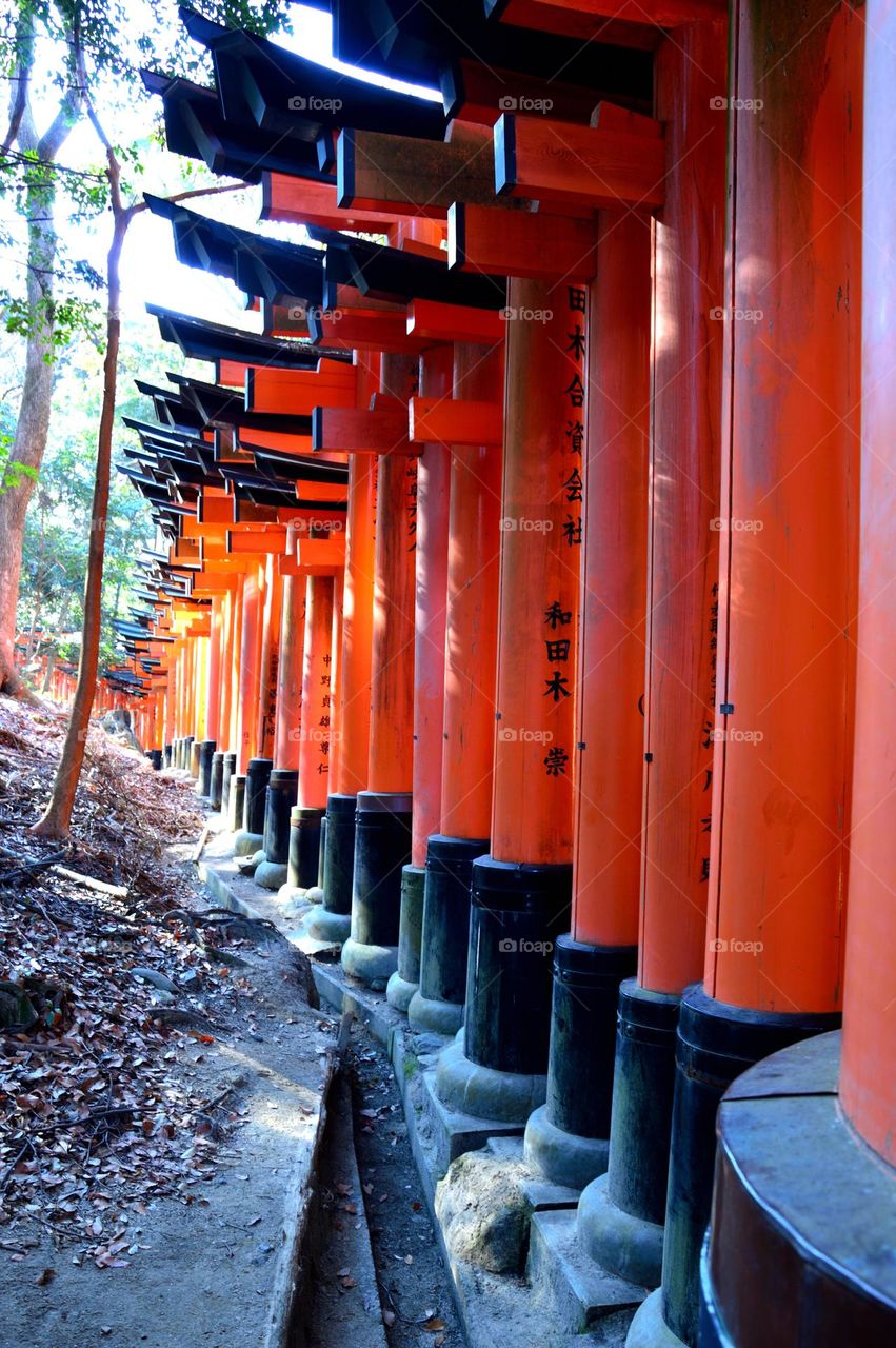 glimpse of tokyo