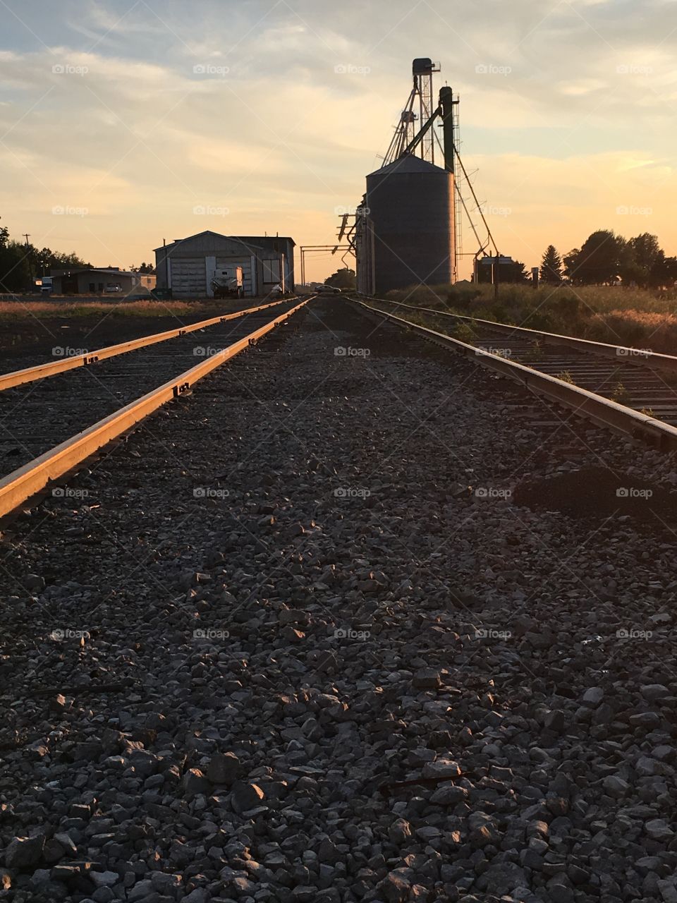 Standing between some train tracks at dusk