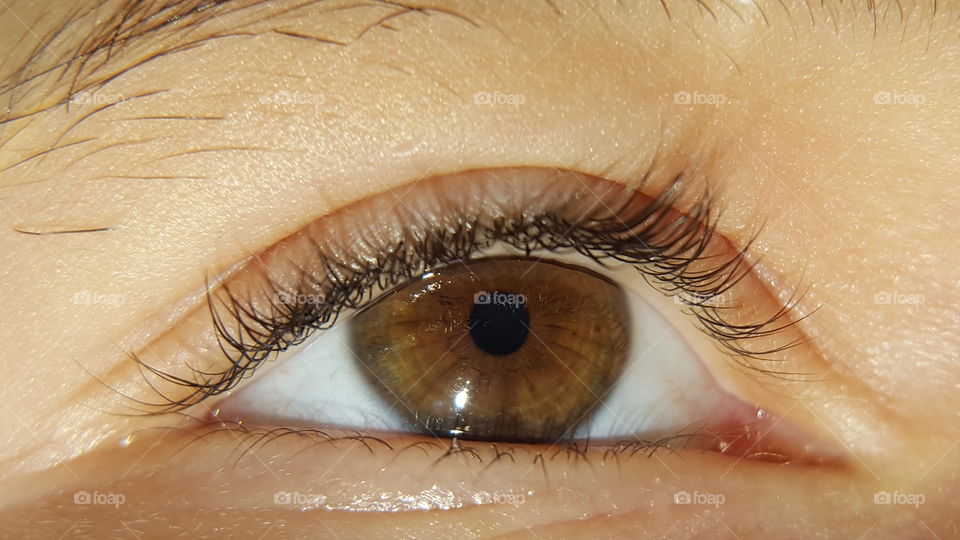 eye