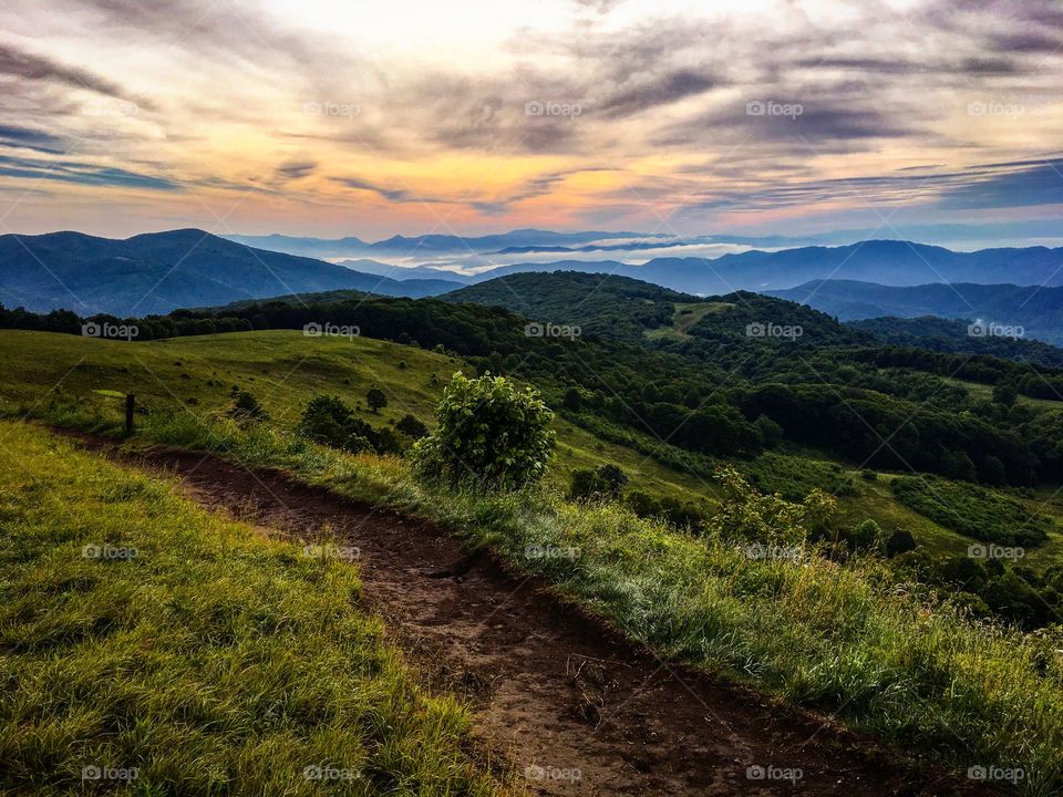 Trail leading up to the Max Patch