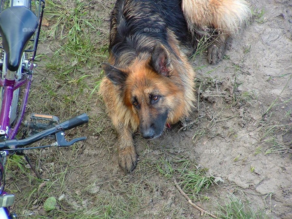 She got "a little" dirty, but she really enjoyed the walk!