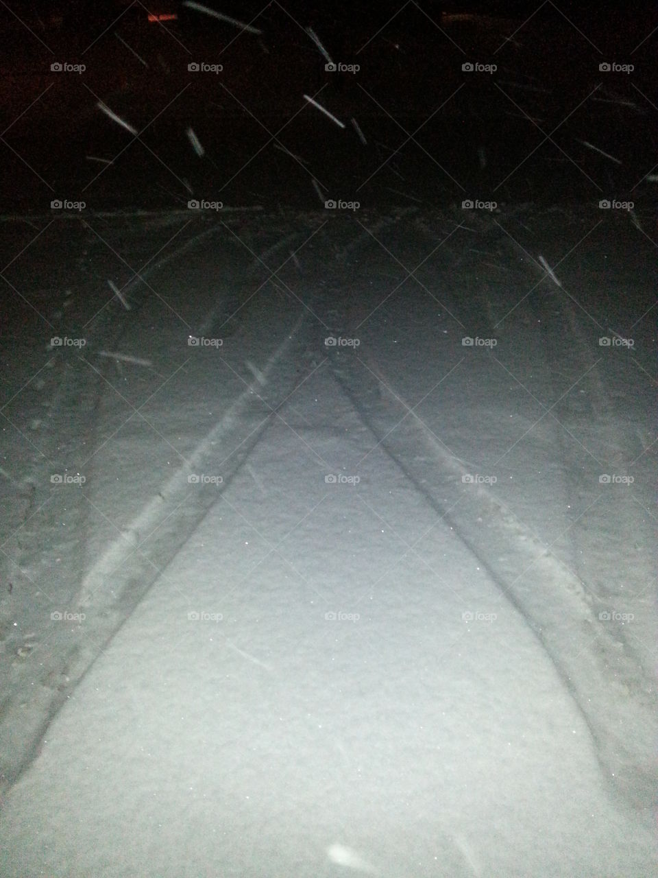 Discovery in the Snow