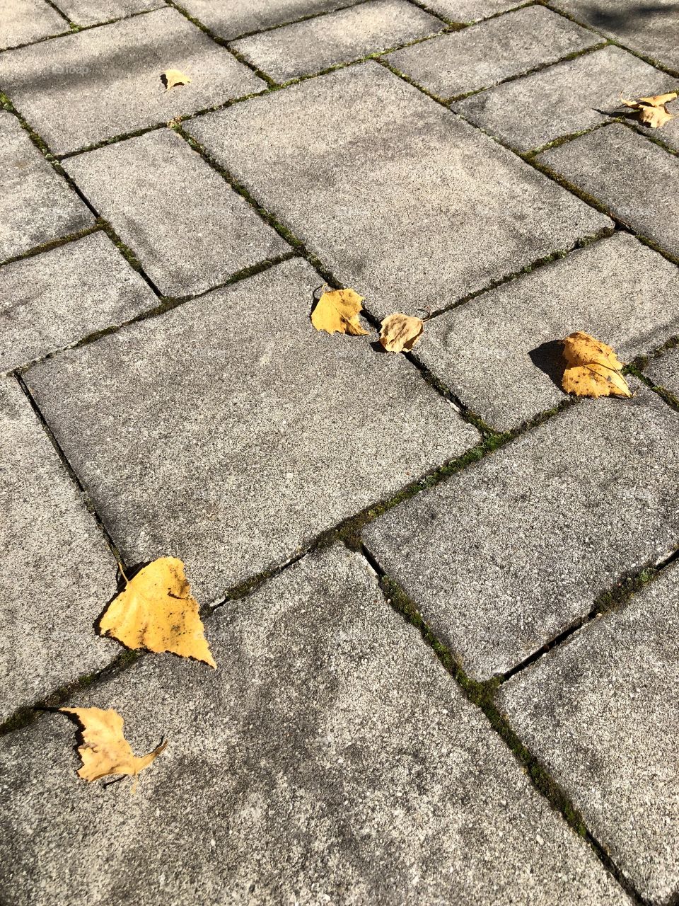 Squares and lines of different sizes 