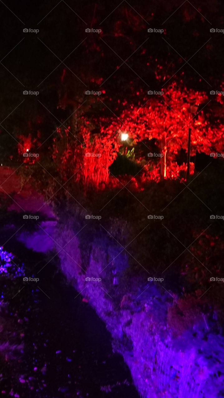 multi-coloured changing lighting in the tree's bushes and stream around our hotel at night