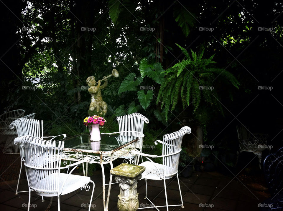 table white fern steel by wacharapol