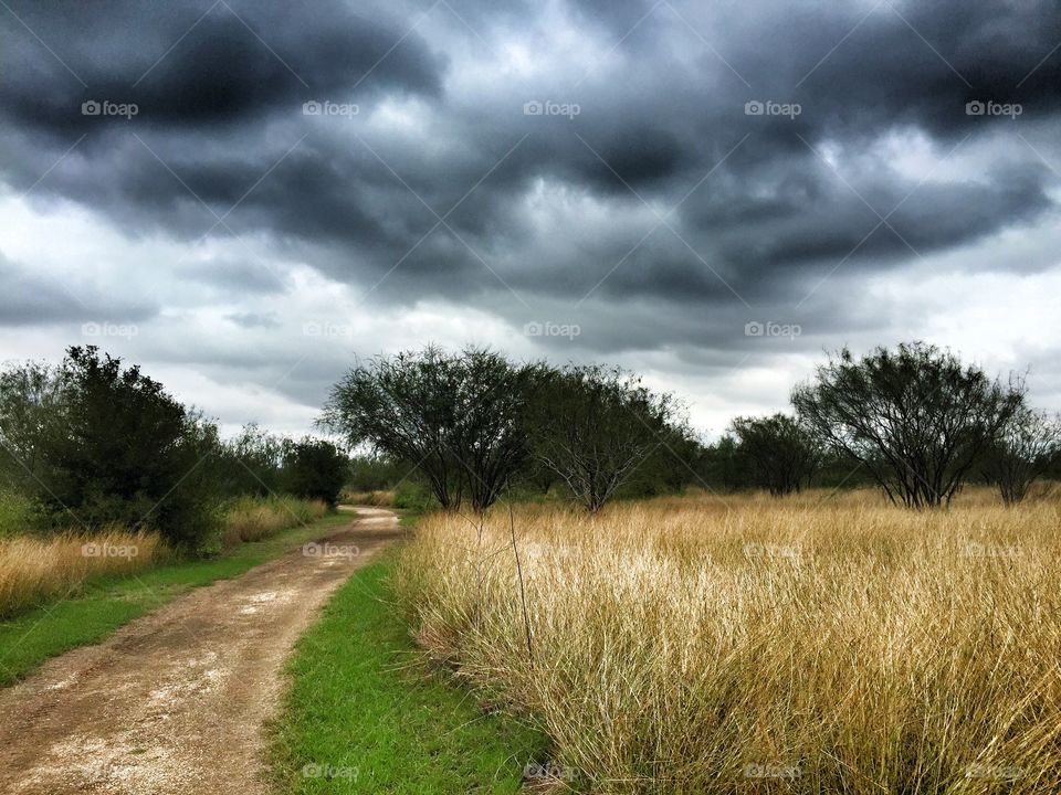 Walking trail 