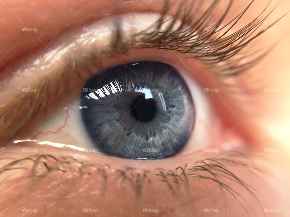 Close-up of blue eye