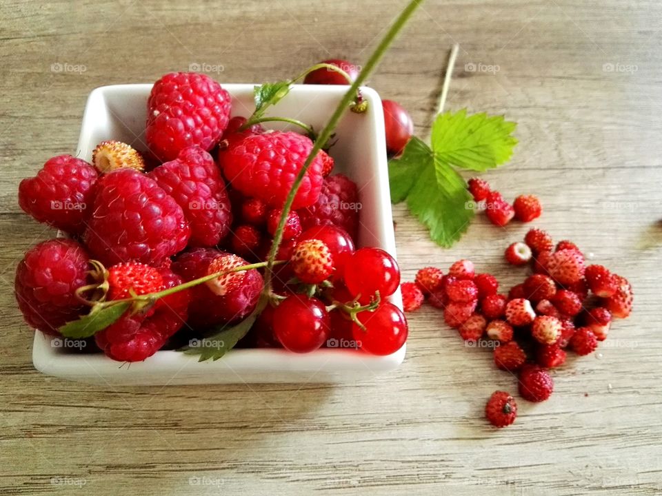 Beautiful fresh cut from bushes berries