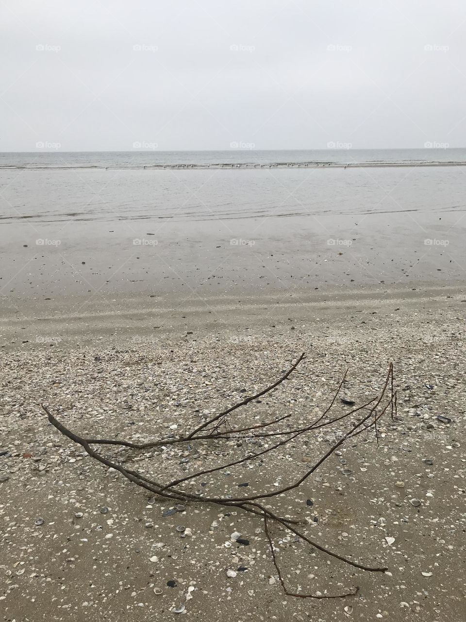 Winter,sea beach 