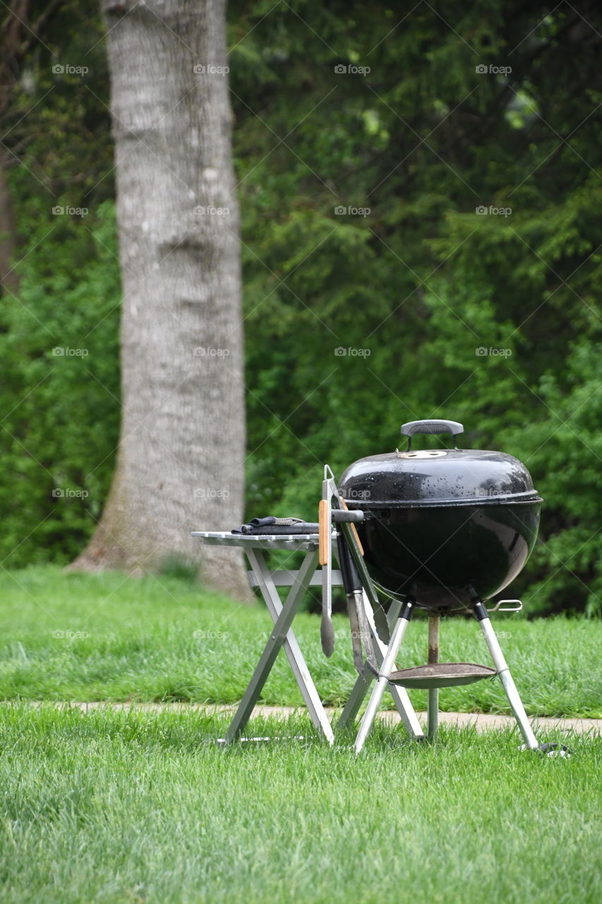 outdoor grilling tim