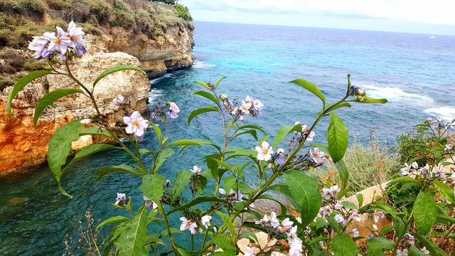 Mallorca