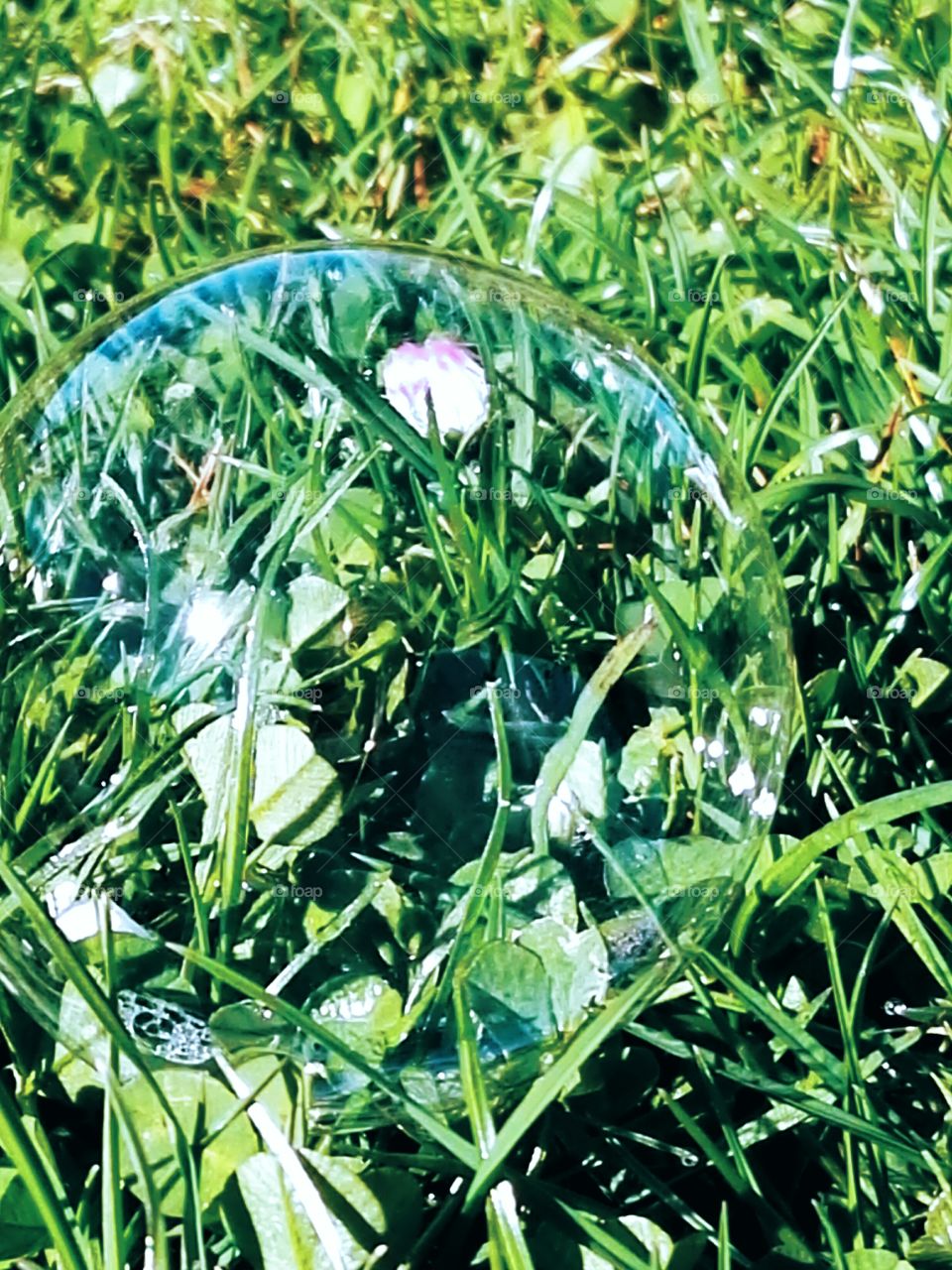 bubble in garden