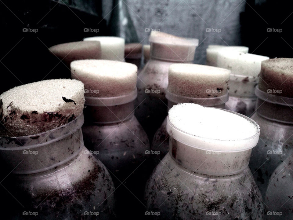 Vintage jars with foam caps.