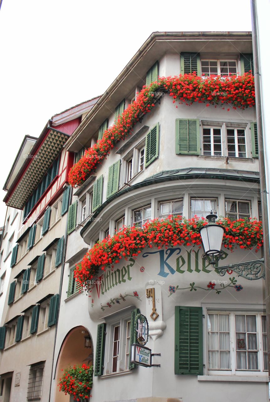 corner windows with flowers