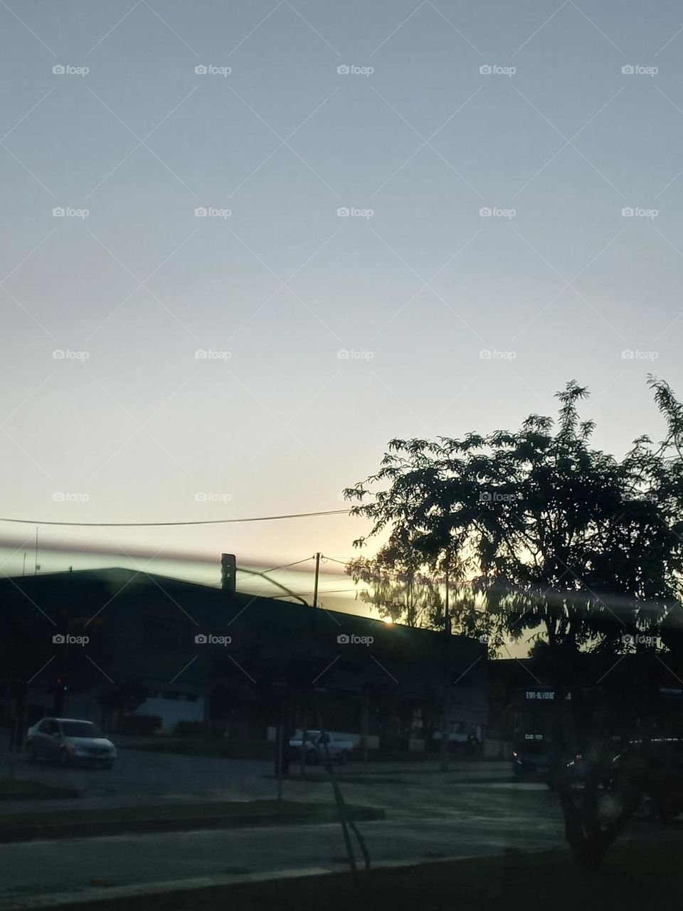 Área arborizada. As áreas verdes, contribuem diretamente na preservação  da biodiversidade local, reduzindo os índices  de poluição, além  de desempenhar um papel estético nas cidades, gerando bem-estar