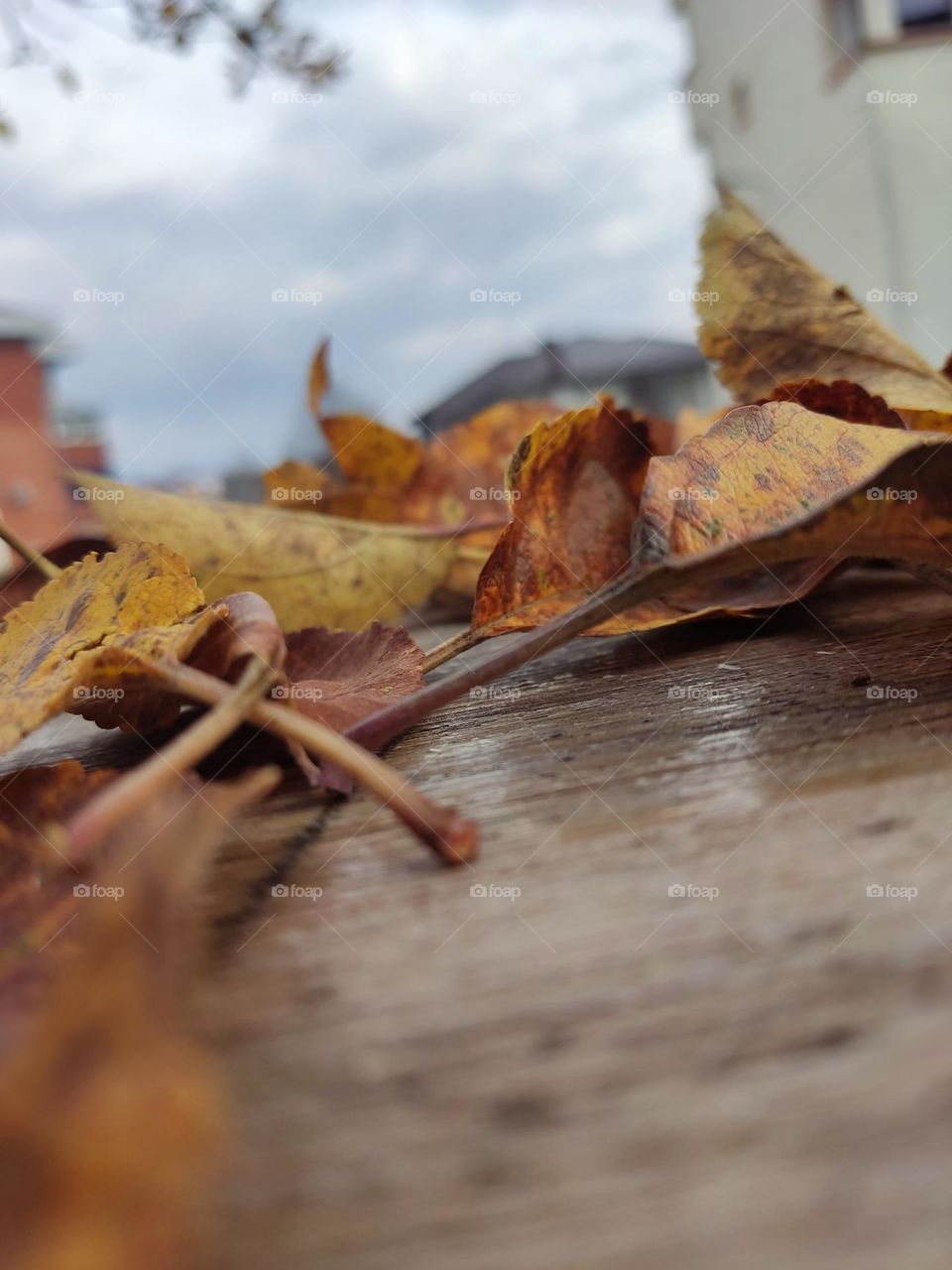 focus on something else