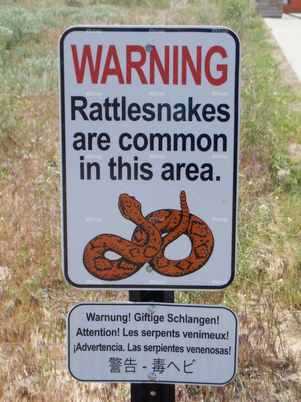 Rattlesnake Warning