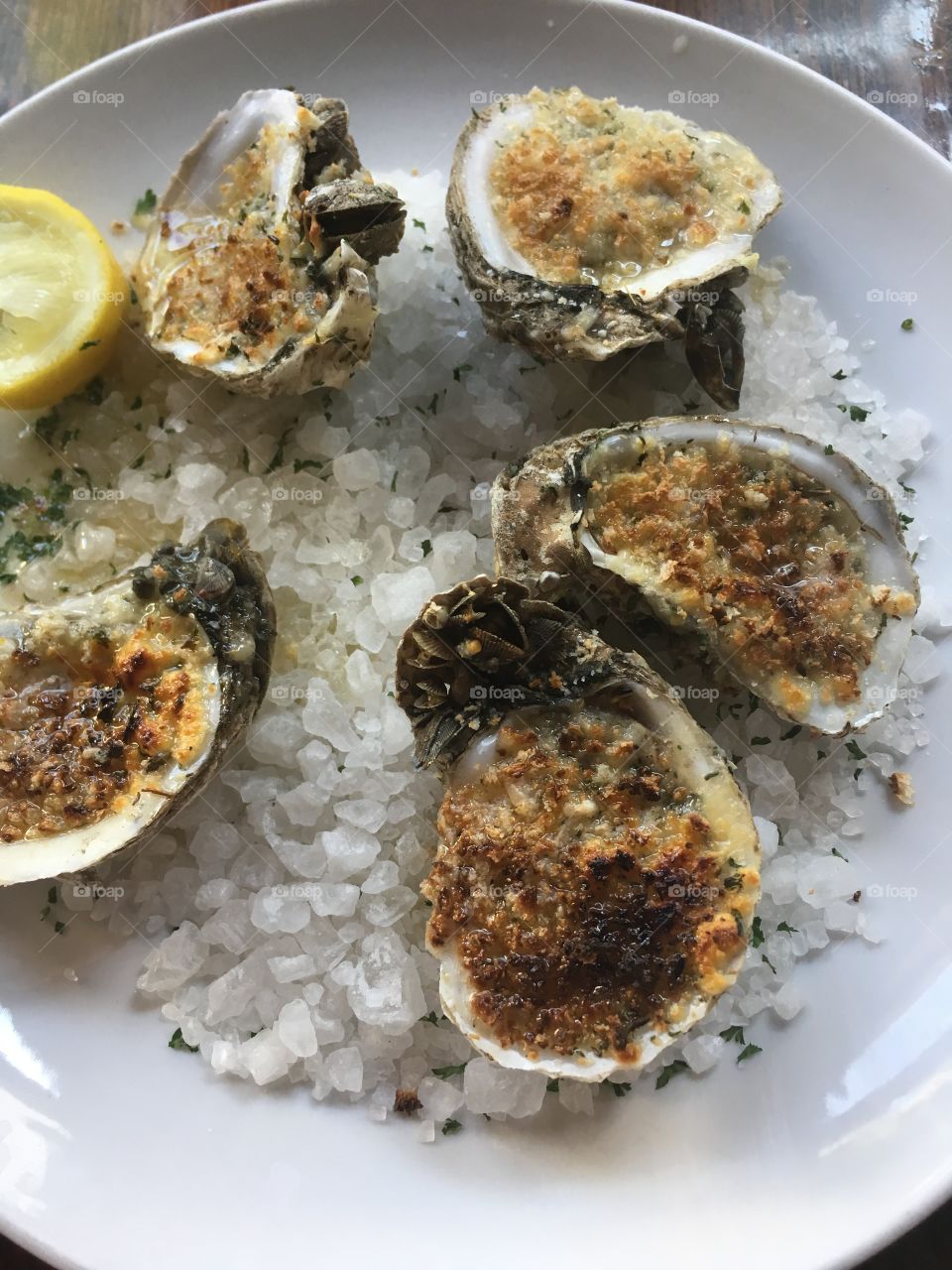 Roasted oysters, Savannah. 
