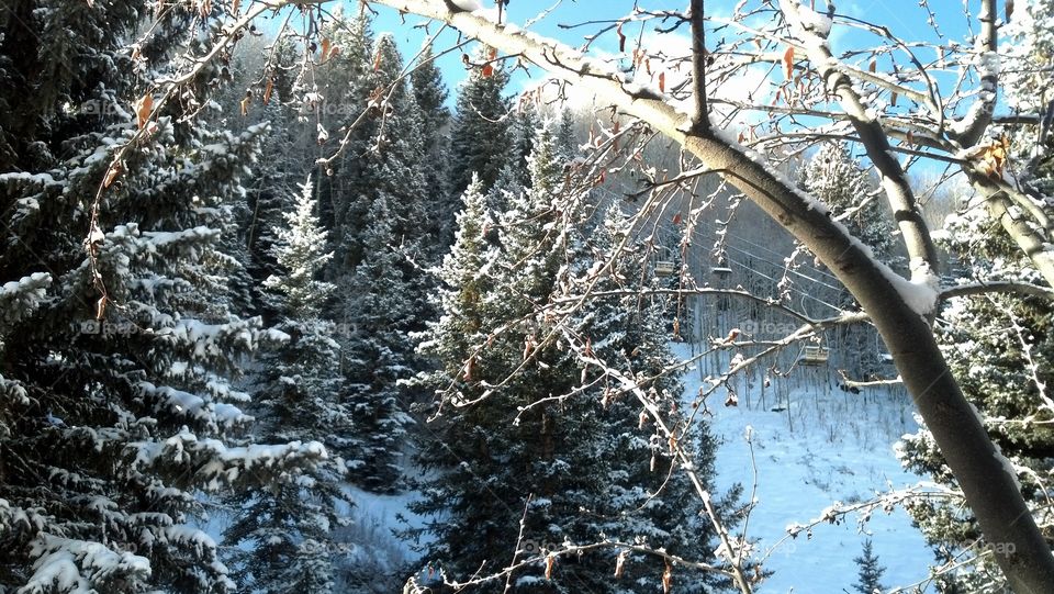 Beautiful view. Taken when we first opened the door of our cabin Christmas morning in Telluride, CO.