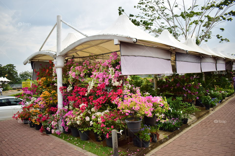 Nursery shops at Diyatha Uyana, Sri Lanka.