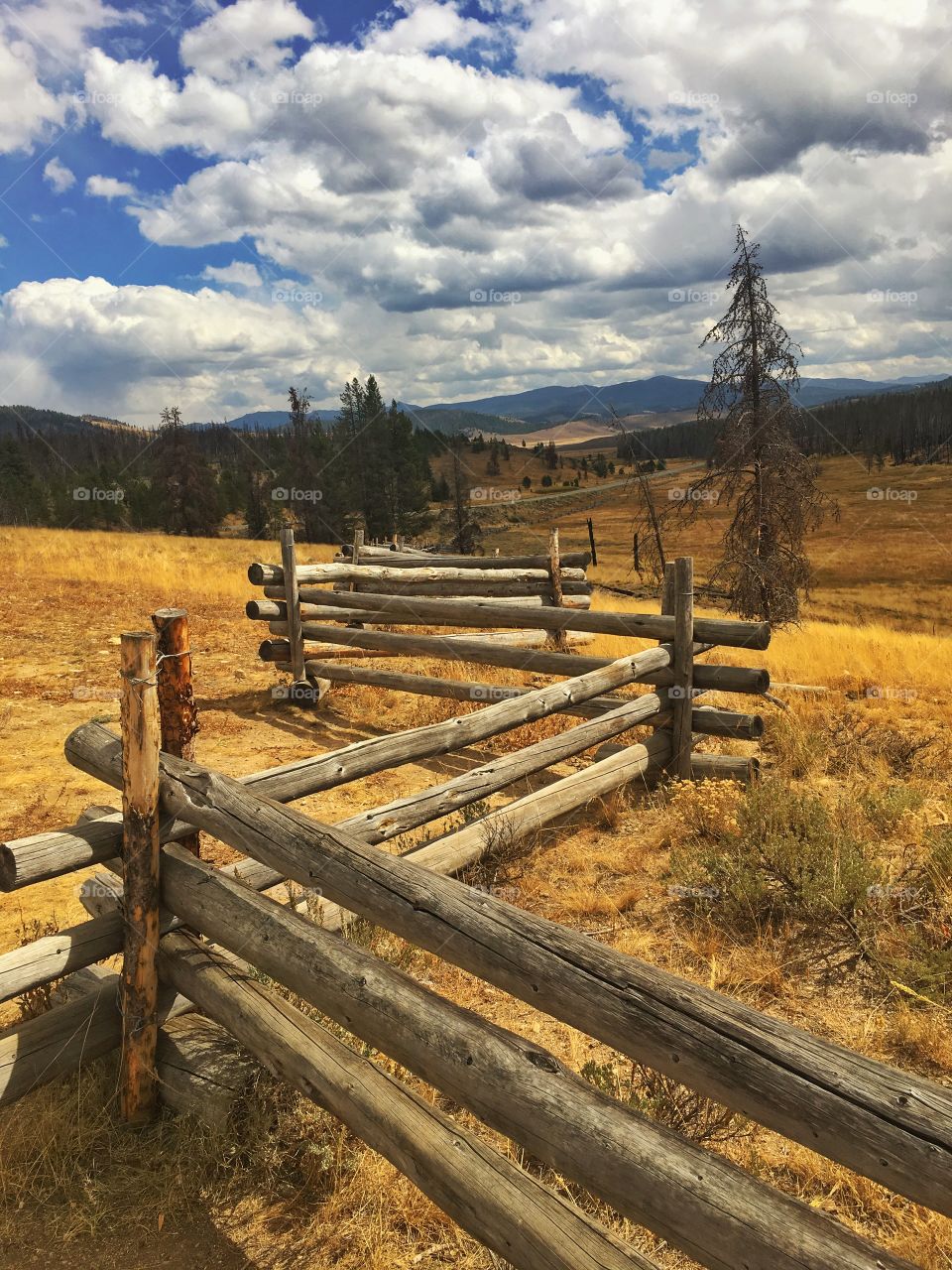 Rustic Mountain Log Fence