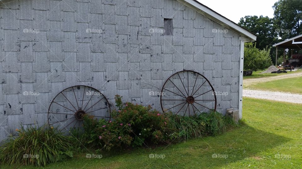 Old farm. Day trips
