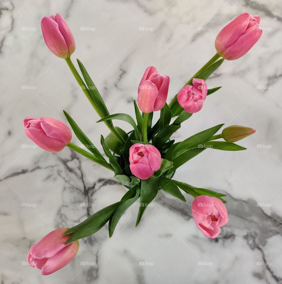 Pink tulips in a vase.