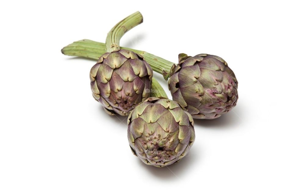 Globe artichoke