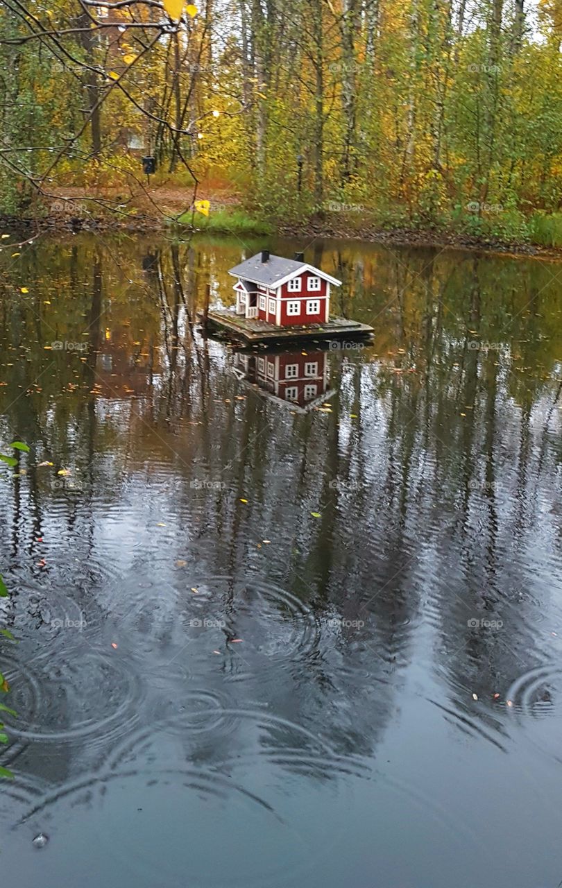 no ducks left in the pond