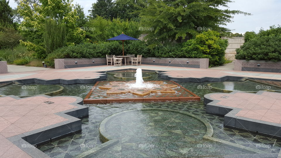 First Ladies Water Garden in the US Botanical Gardens in Washington DC