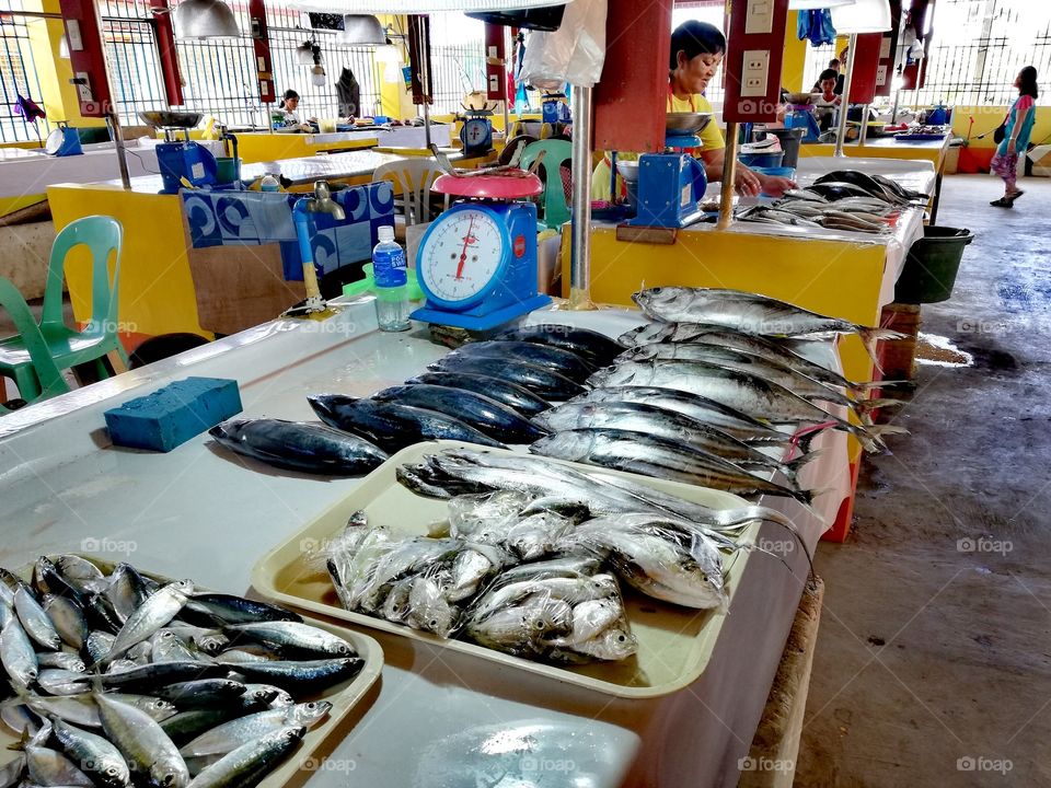 Local fish market in Mamburao, Mindoro, Island of Philippines