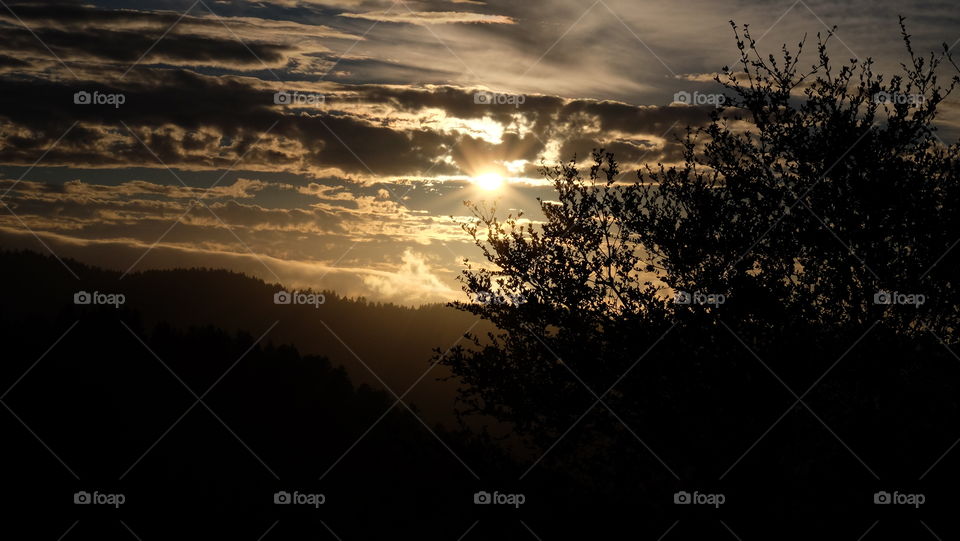 Tree silhouette, cloudy sky and sunset over hills