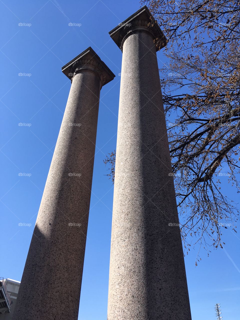 Columns