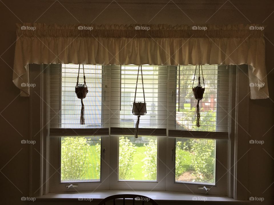 Three hanging ropes with potted succulents in bay window 