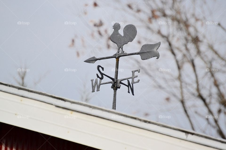 Weather vane in the country. 