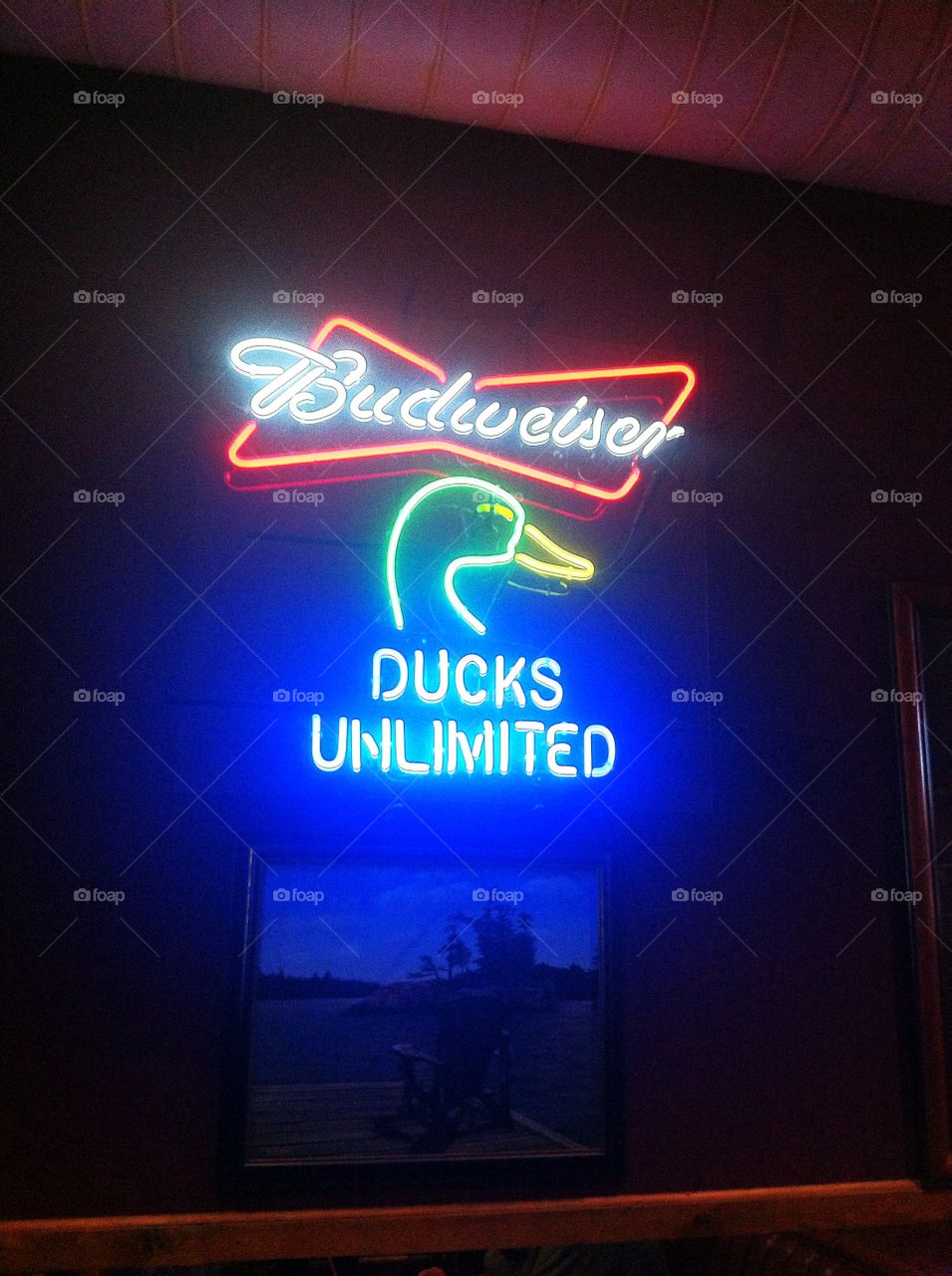 Beer and ducks. Mission Budweiser in bars