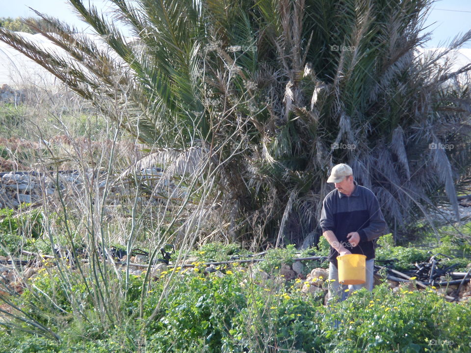 farmer out in his field. taken on lane to Popeye village malta. jan2015