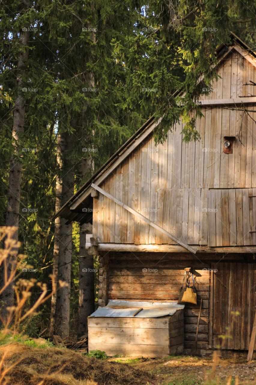 Horse barn in the middle of the woods